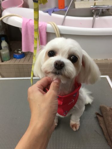 f5071aa7-5dbf-4c47-b6c4-e9fd848639b4