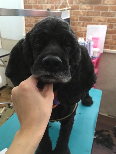 1a00bd45-9036-4025-a73e-653a37315c41