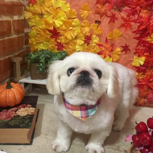 0157e060-aba2-4b8d-b7f6-dcc272f164c7