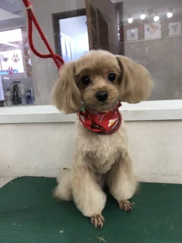 0207db88-f618-4f0c-8312-c87810a7f3bc