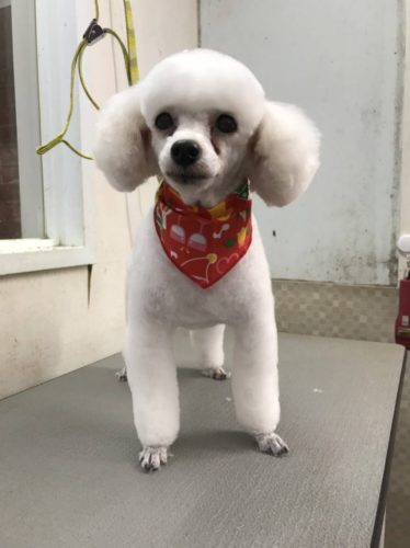 084f0f8e-7540-47a3-b4f6-f525aff2c8d8