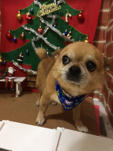 0b17aac1-bc7e-4cf6-9622-020f1997ae9a