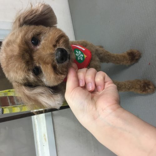 107b3852-a13b-46d3-9eaa-0679ac1ef750