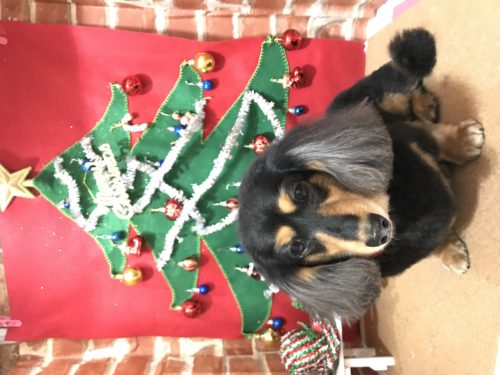 10b37a29-dd82-419f-a9d6-d3de41e2d5f8