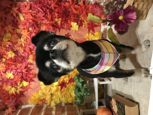 143ae57d-1304-4831-b20c-c6b50ec7a73e