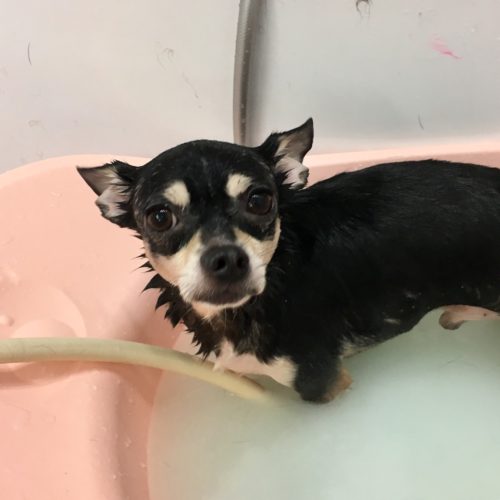 19fe1fb1-9429-4f9f-ae71-d62185699941