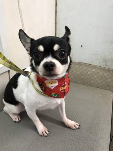 1fc43c5b-a60d-4c47-b800-7551ffd17522