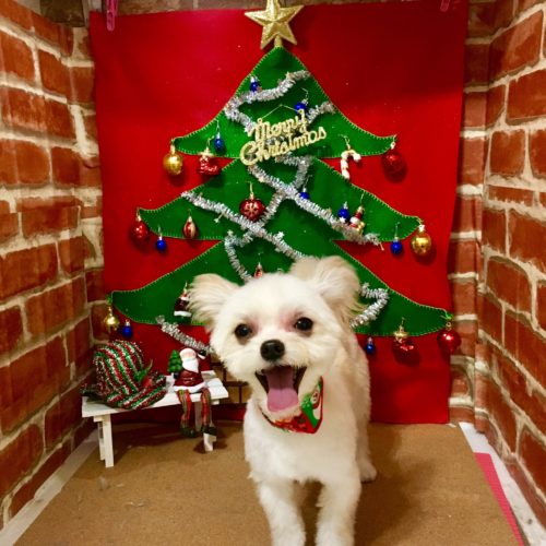 20d1873a-c6f3-4fbb-bb9f-c1ed3b2174fa