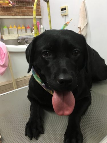 2627ecaa-b416-4722-848e-2588f1226a8d