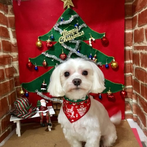 277a749b-b2c4-4035-9905-e34c036b748d