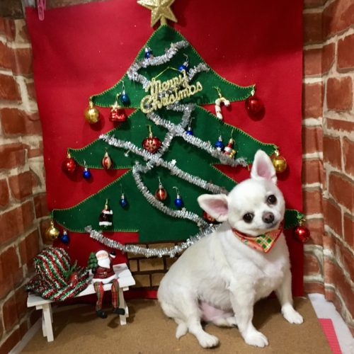 2b752a5f-66bb-4f9d-b885-106ce0d4f8be