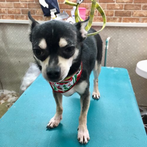 30dadba5-df72-4dbf-a126-a6eafbe82db6