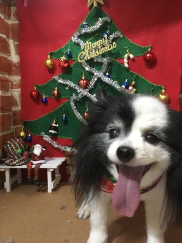 3129745e-048f-413d-b4c1-91796488e77d