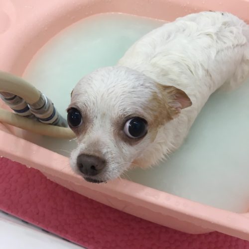 3397ae41-1017-464f-ab2e-3d1917f00afa