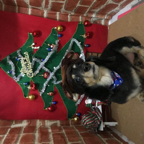 387710c5-f26a-473c-b49d-1dc81b3e07cf