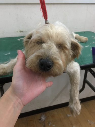 4195736e-e329-4414-a966-c5100b2f9c89