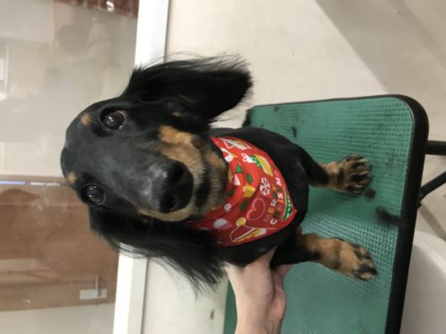 42ddcfaf-51fa-459c-b37c-365b7be6f847