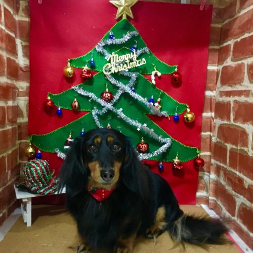 463c6e00-f400-49ca-a768-4249913fba63