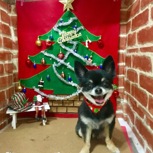 4a0022f2-2aa7-4eb5-9376-008a3640d7d9