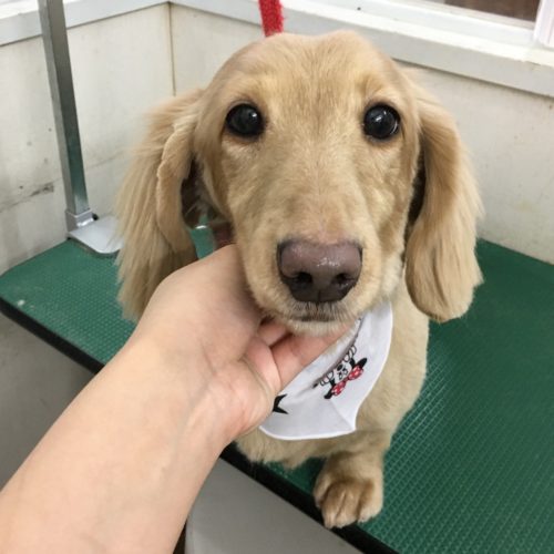 4ca0692e-d23e-420b-8993-4b3a3e998b1d