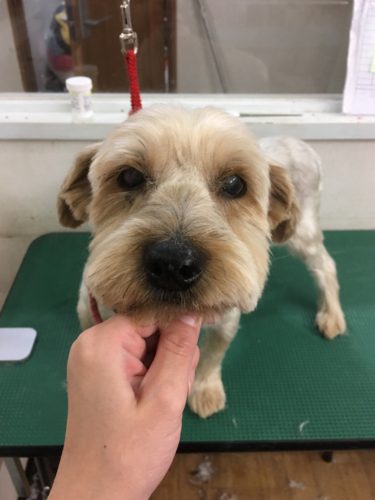 4f803676-2e8c-4d8e-8a3a-b056e229bbe1