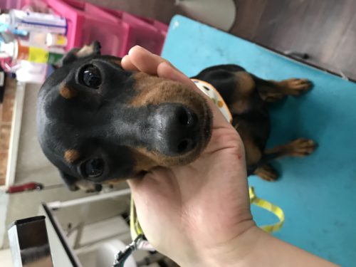 53352145-2cc8-425f-b959-d8830f880d90