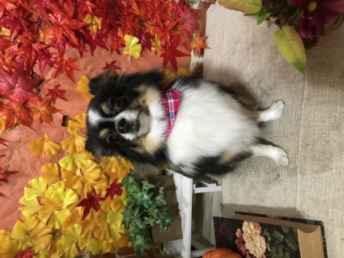 53f520ac-548a-42f5-a8cf-5fed14166d3e