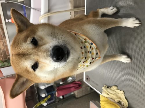 548e9cec-8959-4597-b9d2-09438e7f703c