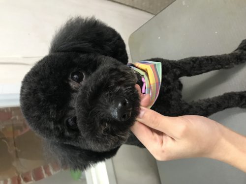 5812d1f1-0cbb-4670-ab39-7b3ba3ca92be