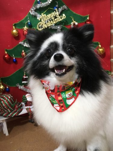 5c2f6d01-a8e4-41cd-b540-1916193d5e75