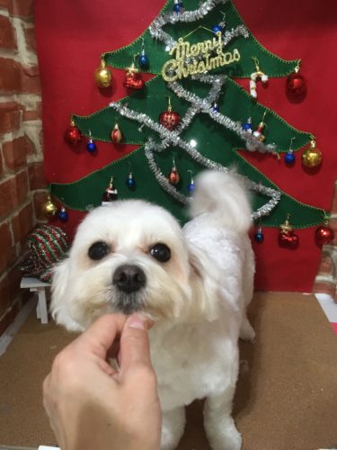 5d7f68bb-1950-4af7-90fd-66199b1c7d26