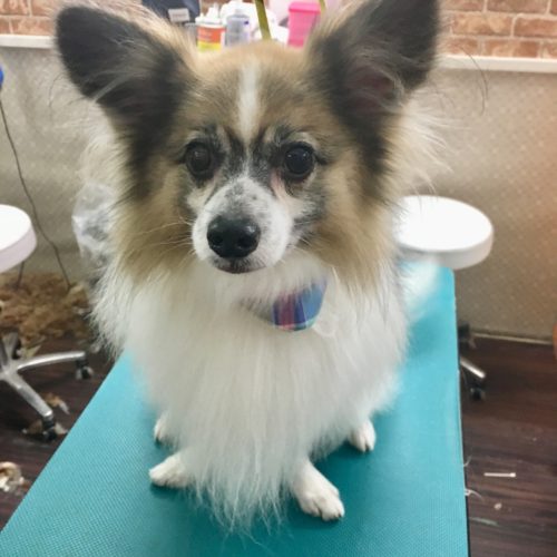 5e392355-ca10-4b02-87b0-f4fac825951e