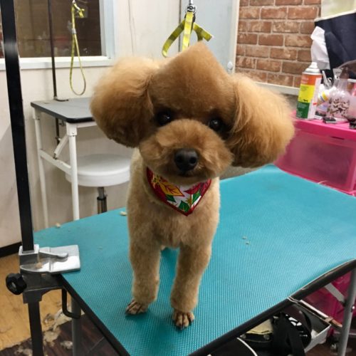 609d23a2-2059-4ebf-9aba-3c68577afd93