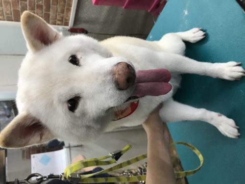 63a5960d-1d9e-43a7-adf1-750633960767