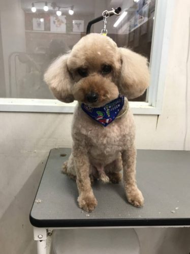 6666c3a2-c534-4844-8d9d-d56b6100de06