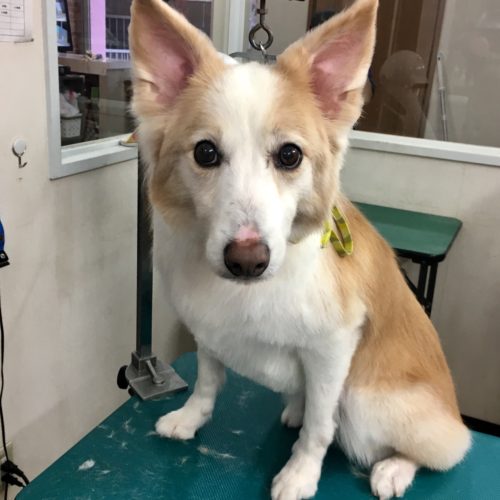 6a773b45-64e6-4371-be9f-02779bb301aa