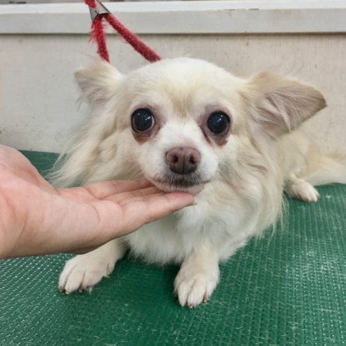 6bdeb756-2d0f-4672-b5ae-2dad5fb69493