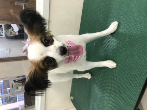 727b1789-e26d-4419-bb9c-9d35778482ce