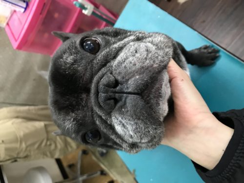 7fa08e9a-68b0-4773-a350-91e4645de965