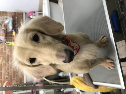 801141fa-b157-4ebb-b12f-af4f60d66b73