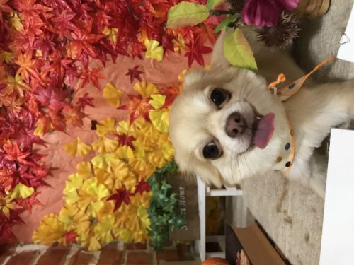 8437b4e0-3afe-40bc-aa47-f4c978df5c3a