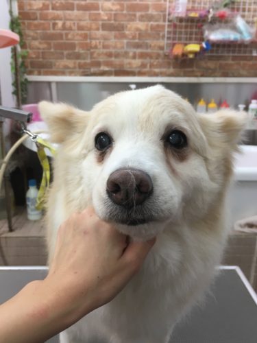 86758cc7-a18a-49d2-b2d9-afe21533647c