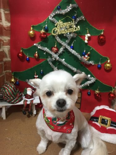 87b081c4-b3a8-4ec1-85cf-8ad82dc0e58c