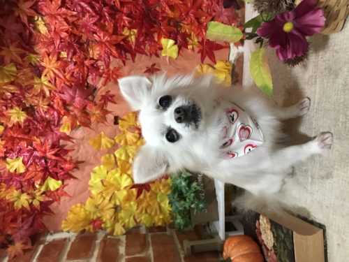 891b751e-9aaf-4ccd-8294-00a1392d15f0