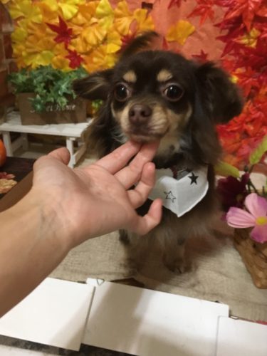 89cdef27-5dff-4067-ac83-589b31b5ce2c