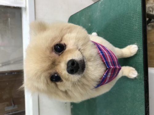 8c84393a-3db8-403a-9eb4-18ba574d980c