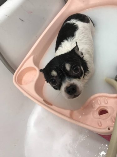 94cccb00-de69-4148-aa77-a93985df8ee5