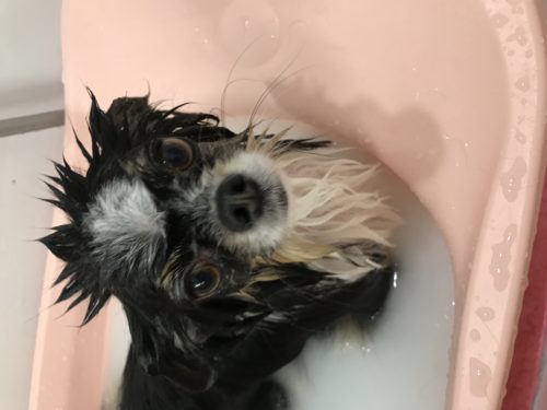 95529168-d722-487e-83ad-21c3a4f556e4