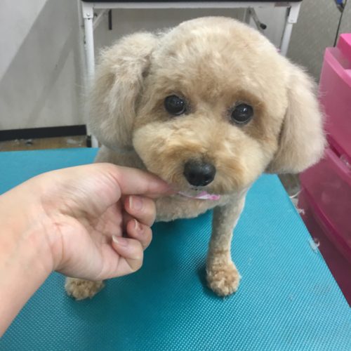 9d2ba049-c31e-4afd-be33-d333c2c138c7