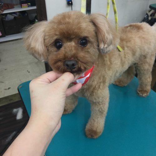 9ed04045-7a62-4719-a102-066d4931ec43